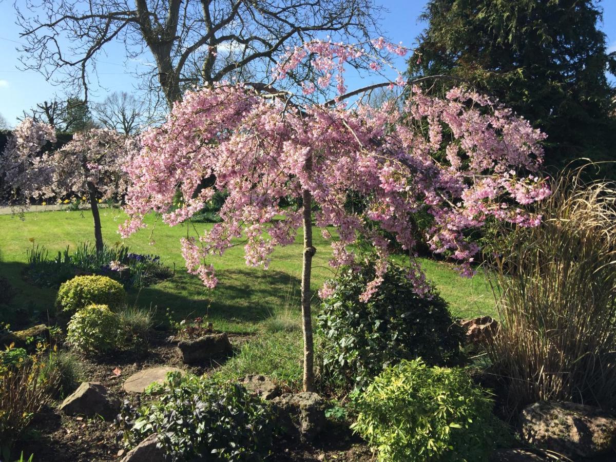 Orchard Side Bed And Breakfast Hanley Swan Εξωτερικό φωτογραφία