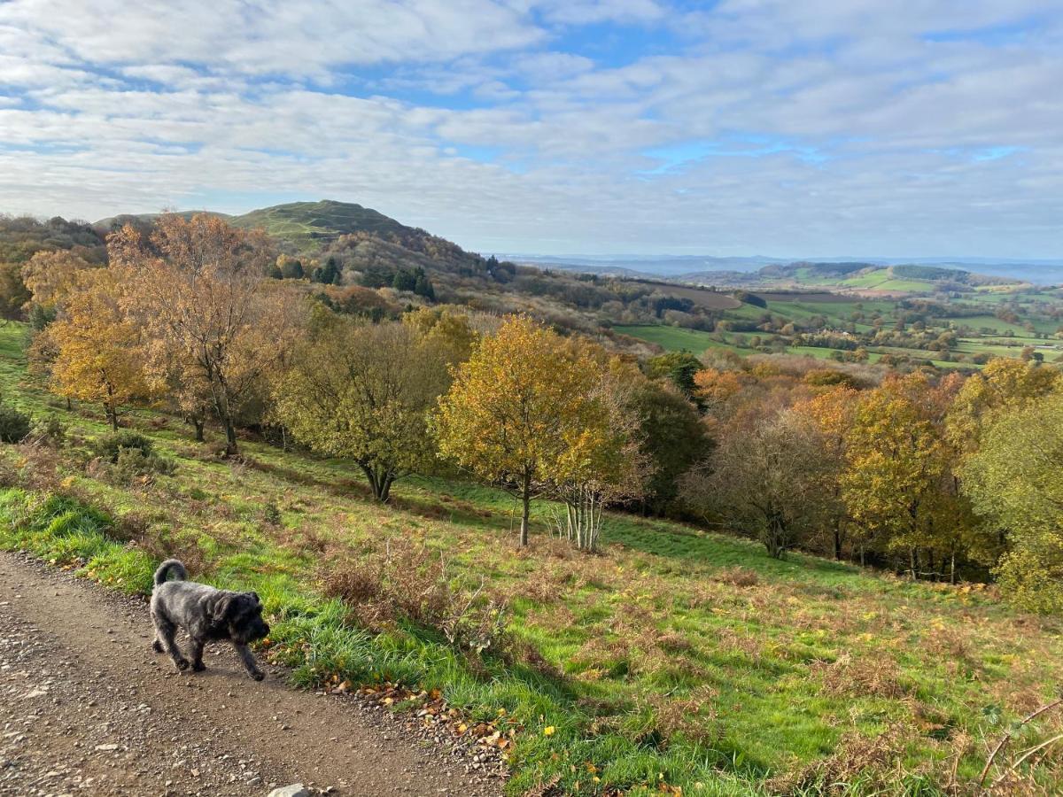 Orchard Side Bed And Breakfast Hanley Swan Εξωτερικό φωτογραφία